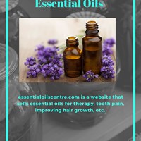 Портфолио christy  green